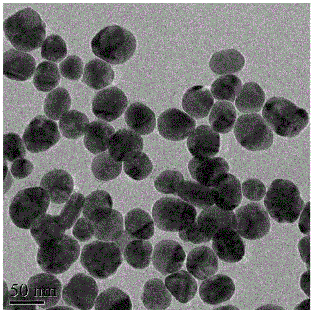Nanoparticle Image 2