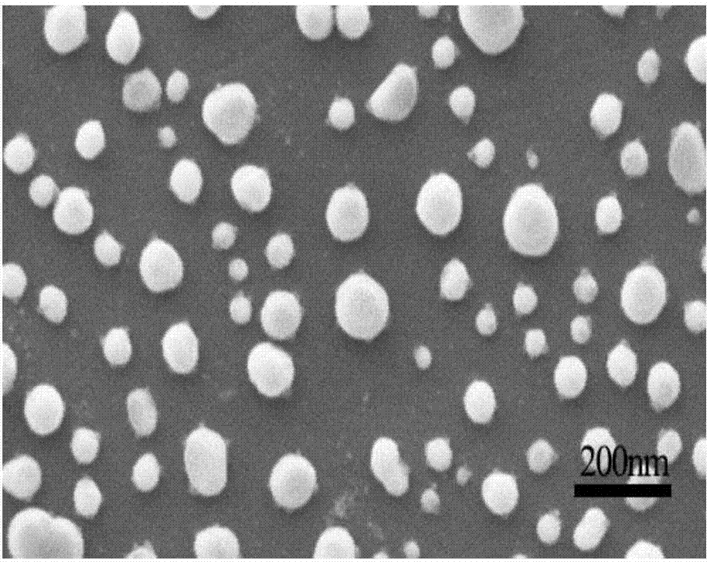 Nanoparticle Image 3