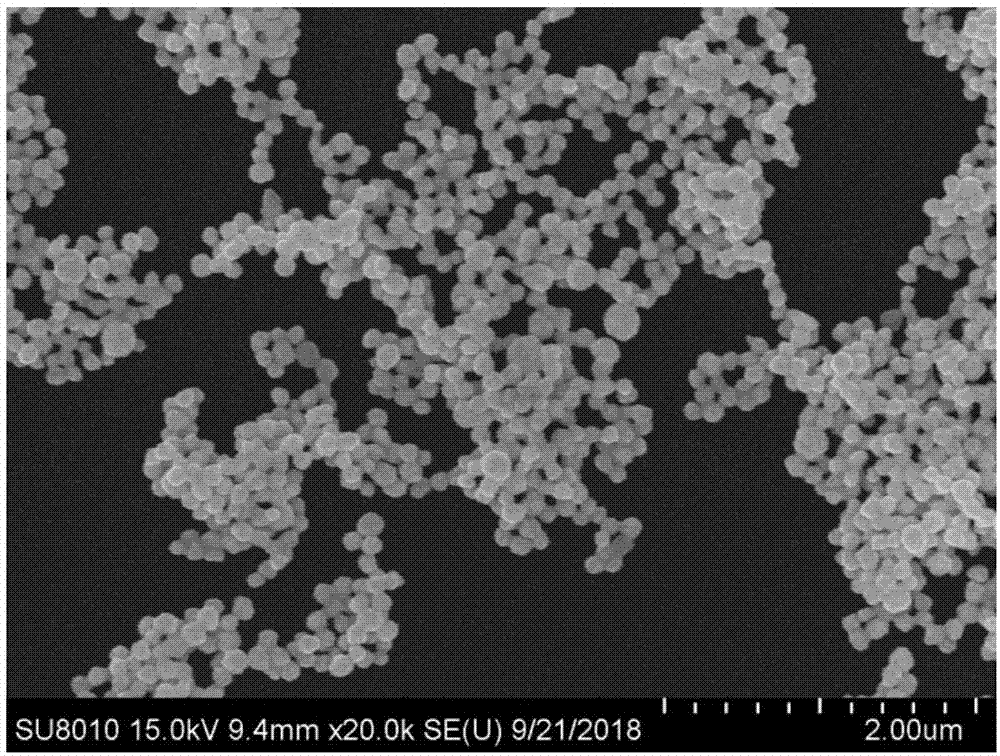 Nanoparticle Image 1