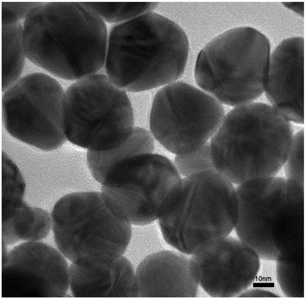 Nanoparticle Image 2