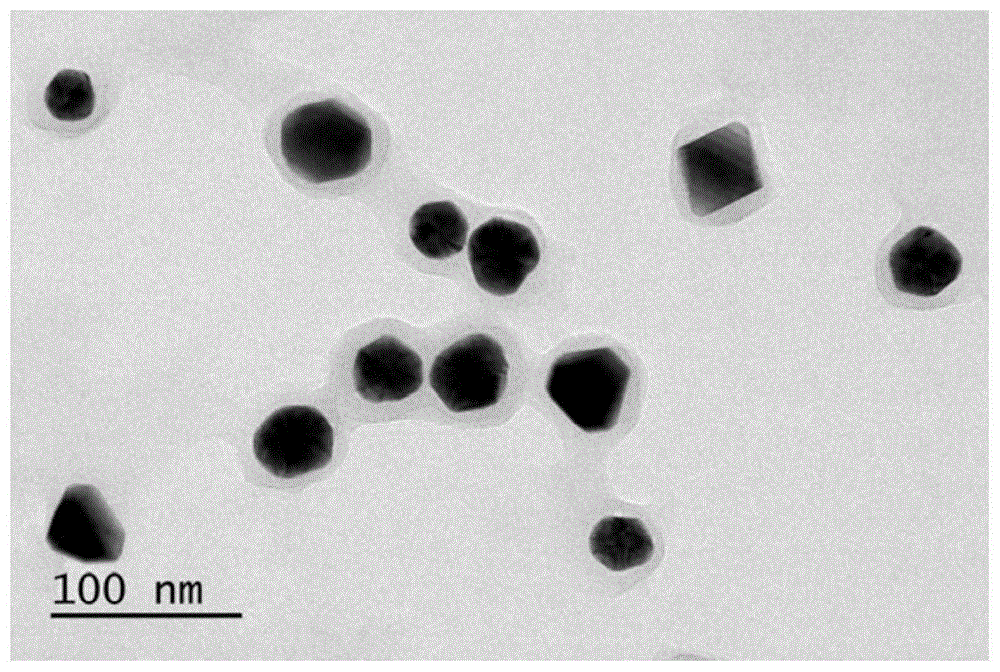 Nanoparticle Image 3