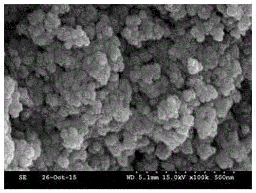 Nanoparticle Image 2