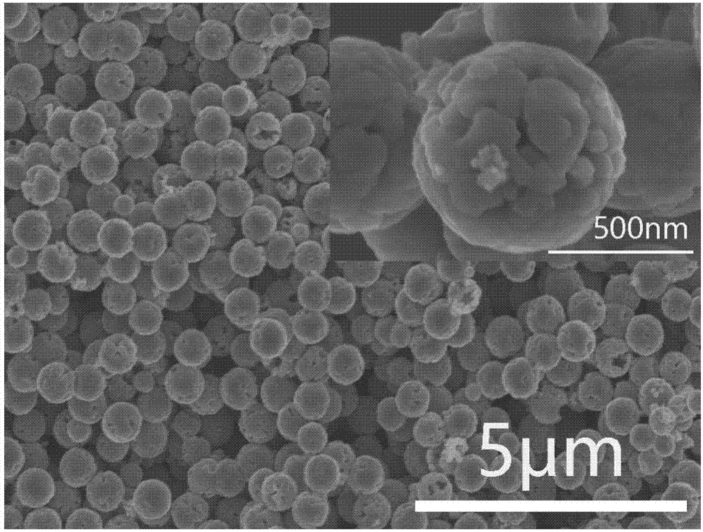 Nanoparticle Image 1